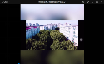 刘丽同志制作的视频截图
